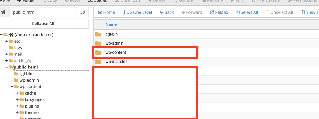 wp-content