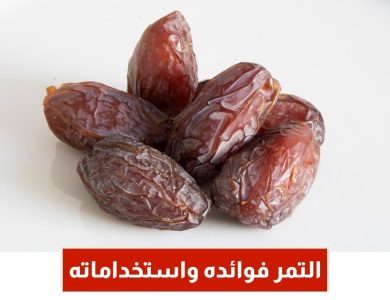 التمر فوائده واستخداماته كانك لم تعرفها من قبل