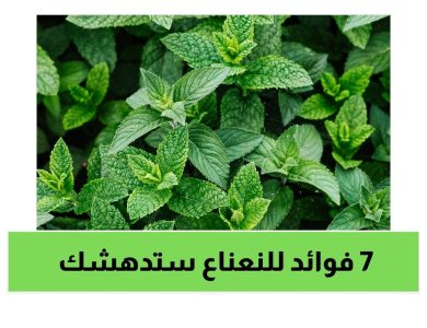 7 فوائد للنعناع ستدهشك